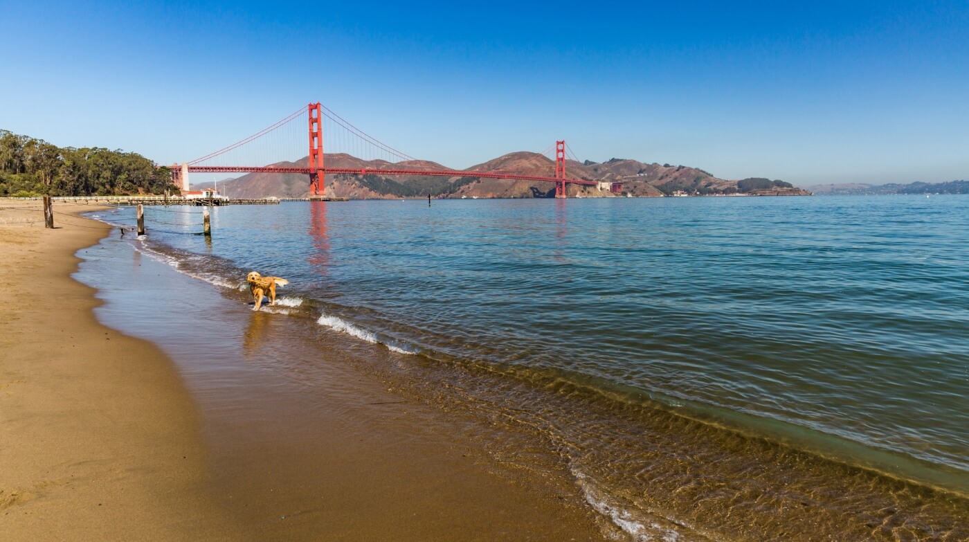 Crissy Field Beach San Francisco