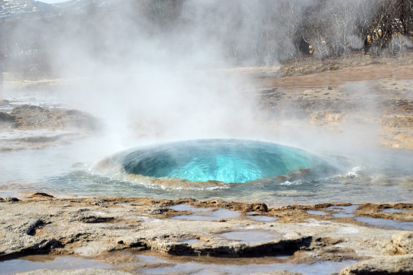 Geyser en Haukadalur