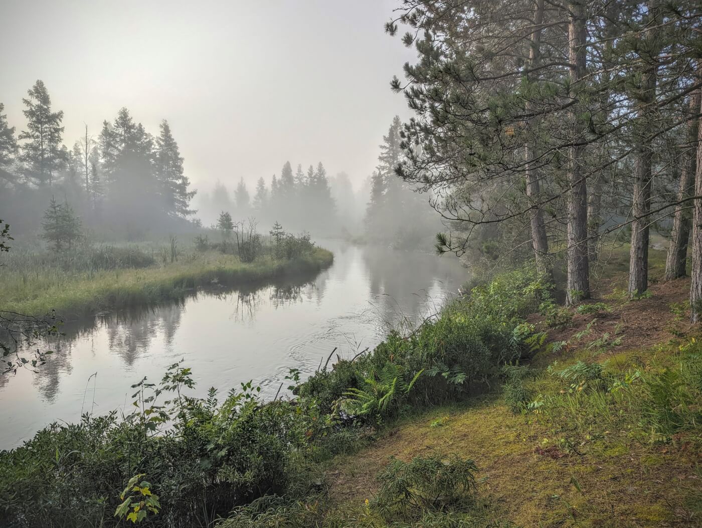 Upper Manistee River Boondocking Michigan