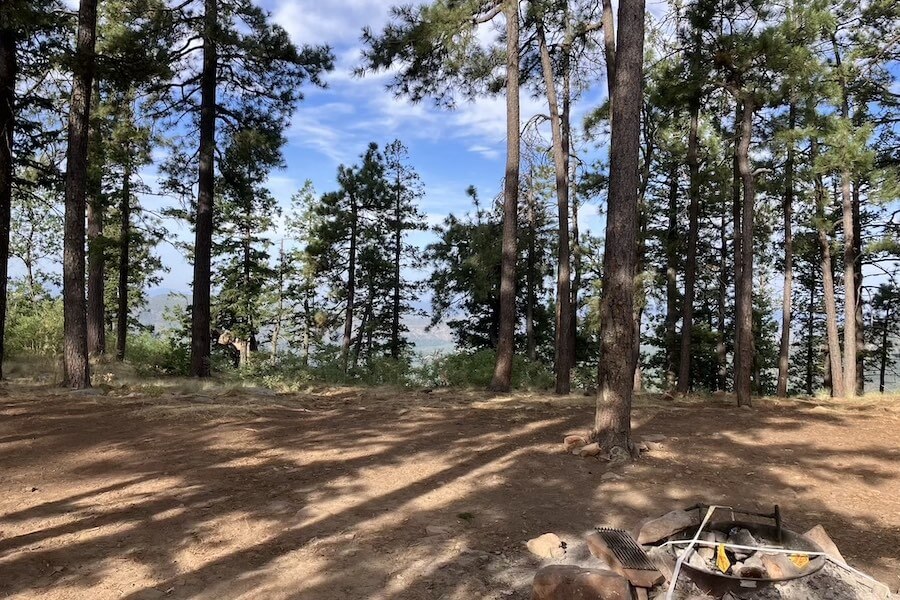Pine-shaded boondock site with fire ring on the Mogollon Rim in Arizona