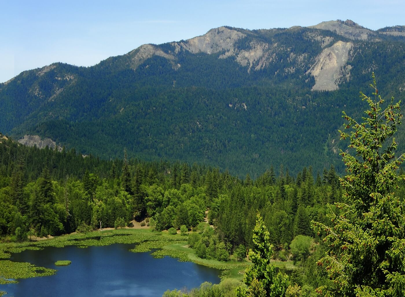 Emerald forest surrounding tranquil lake in Mendocino National Forest