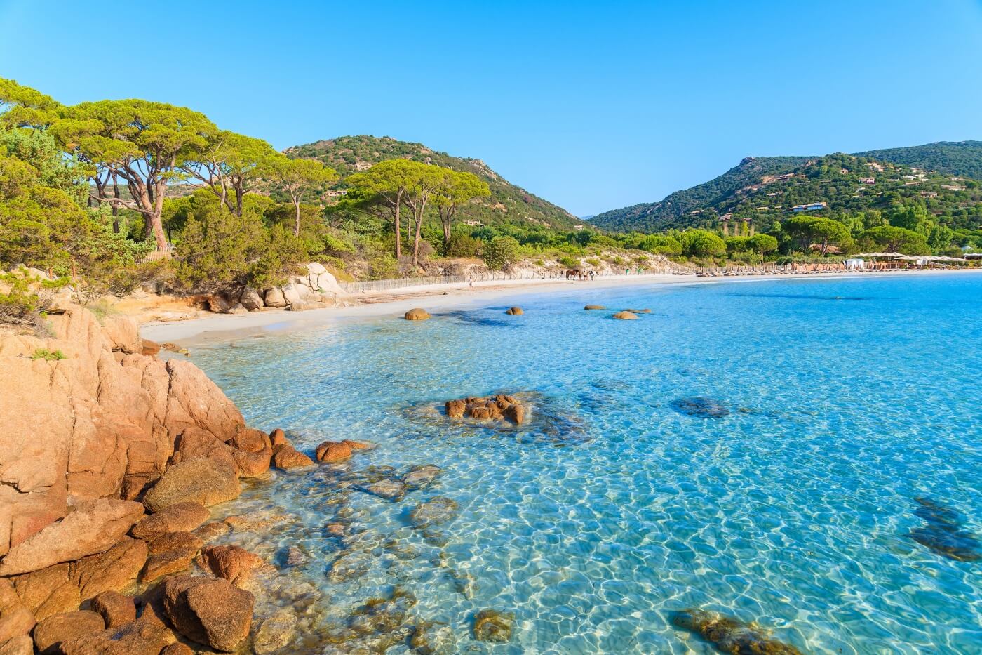 Plage de Palombaggia en Corse avec eau turquoise et pins.