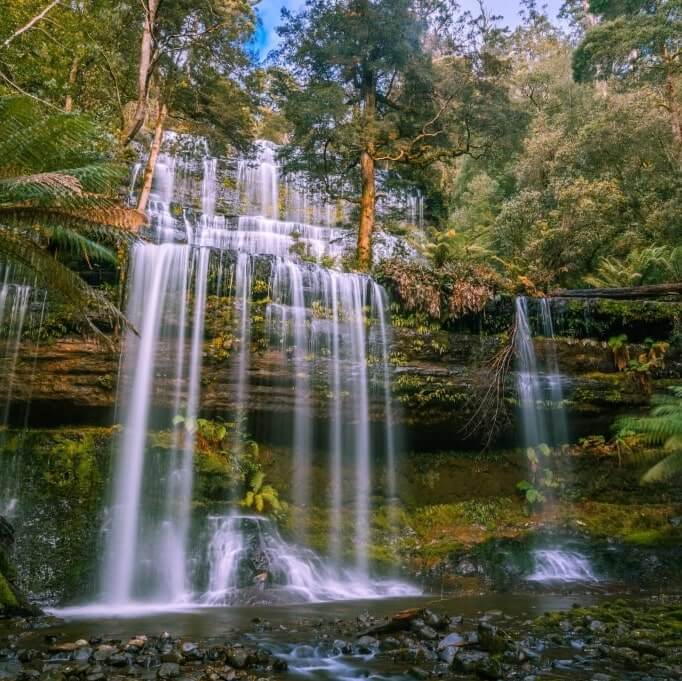 hobart russell falls - mount field national park - Australia