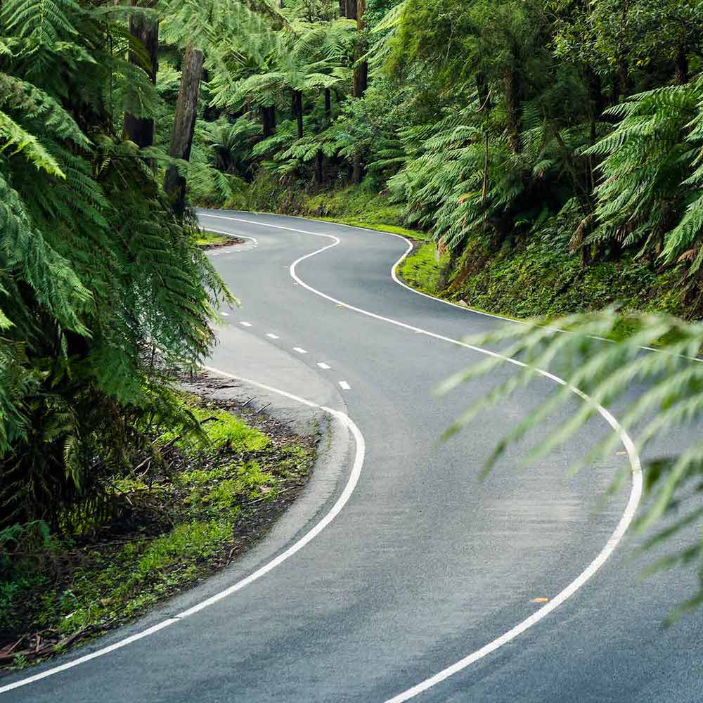 road at yarra mountains national park Australia